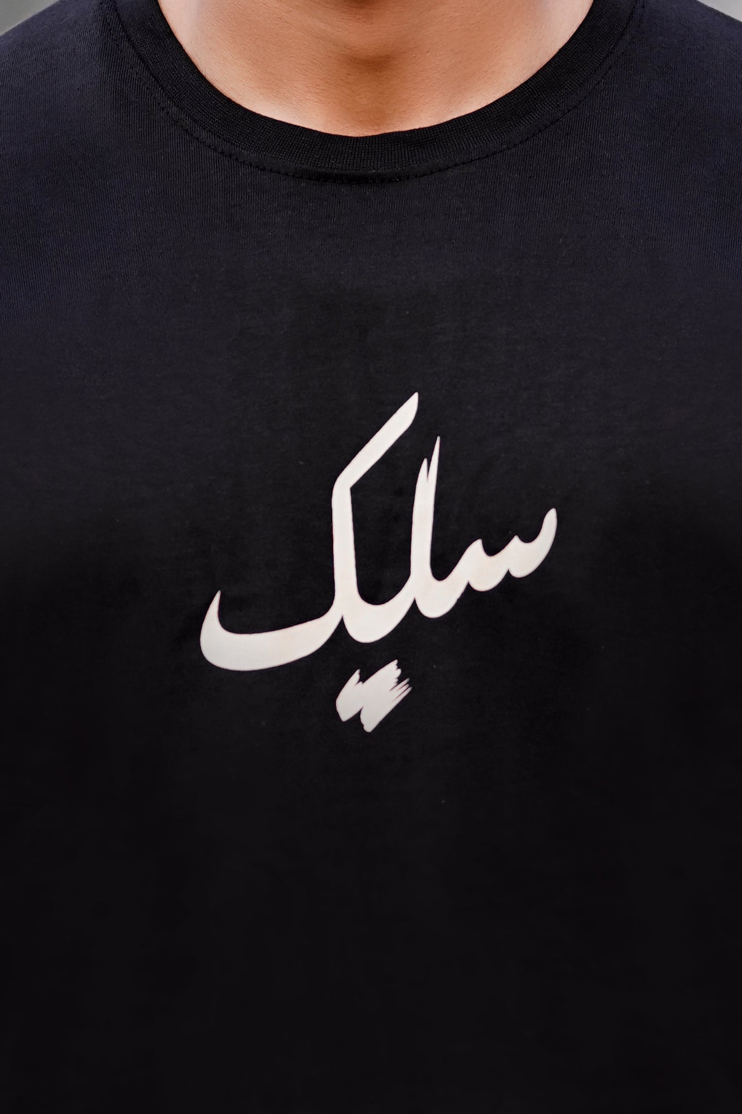 Baagi (باغی)